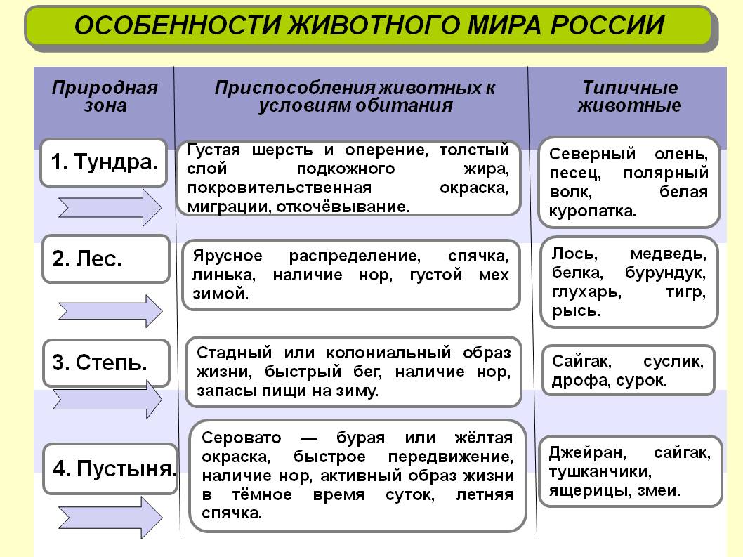 Гдз по географии 8 класс дрофа таблица о животного мира на тему растительный и животный мир.россия
